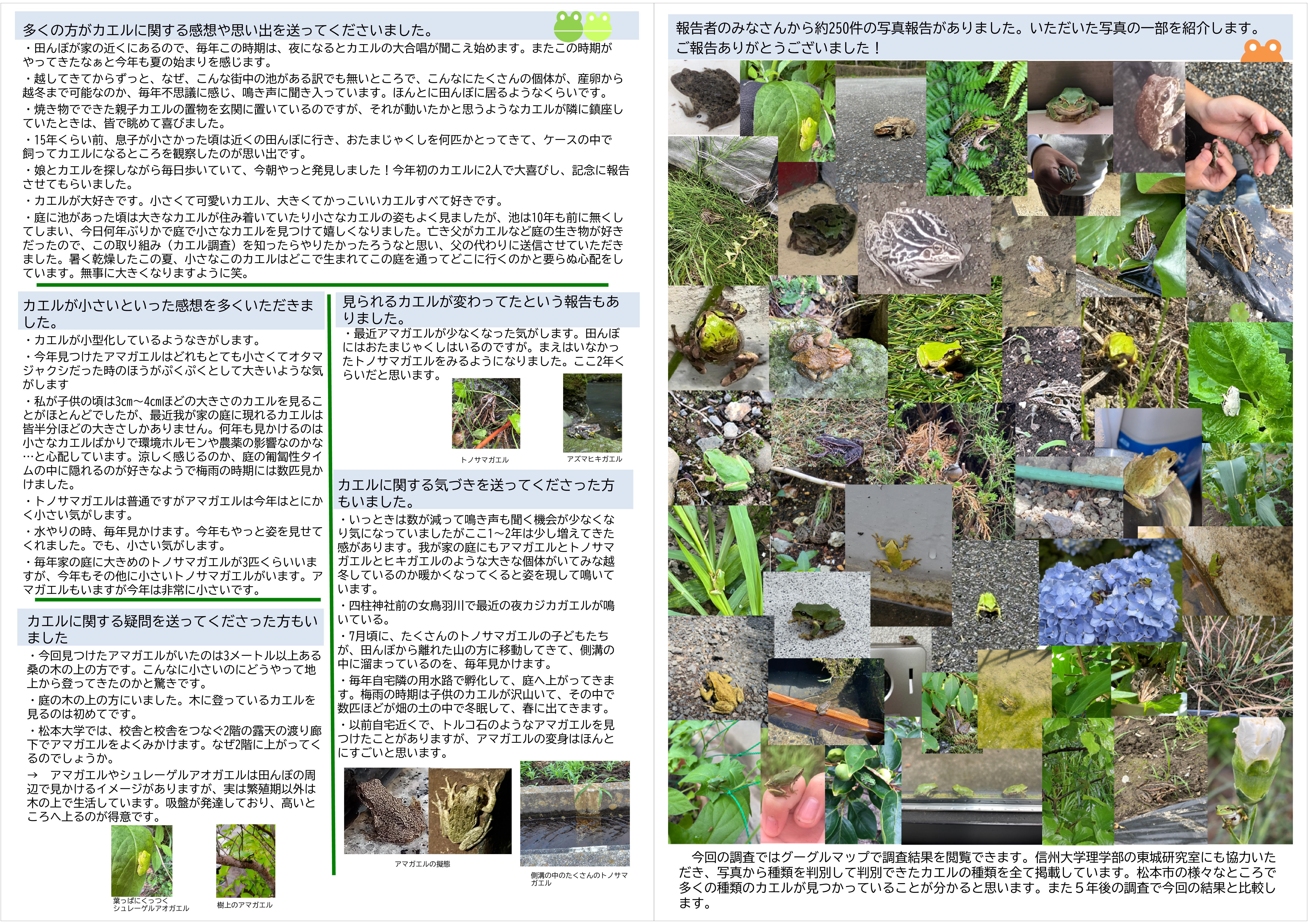 カエル調査まとめ2