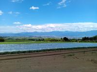 波田のすいか畑からの松本盆地