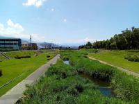 女鳥羽川の河原（女鳥羽川をきれいにする会の活動）