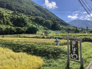田んぼのわプロジェクト