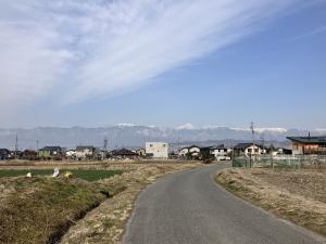 散歩道での風景