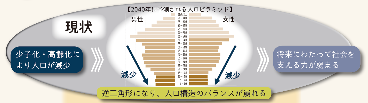 2040年に予測される人口ピラミッド