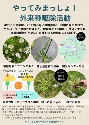 外来植物駆除活動チラシ
