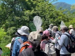 生きものを観察している様子