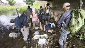 女鳥羽川で自然観察をしている様子