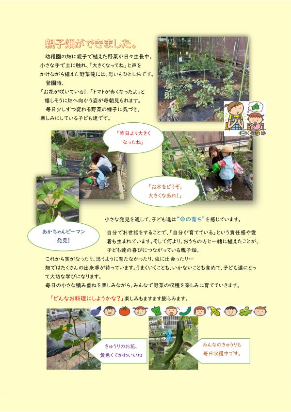 子ども達の様子