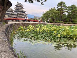 松本城1