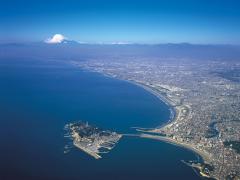 写真:神奈川県藤沢市